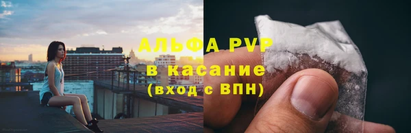 винт Богданович